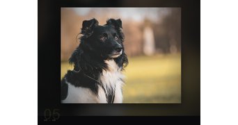 Cinematic Slideshow